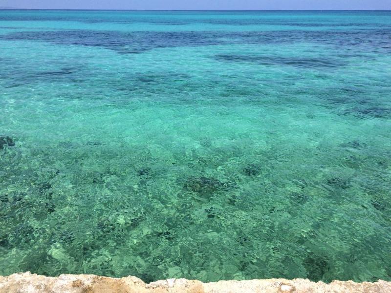 The Wexford Hotel Montego Bay Luaran gambar